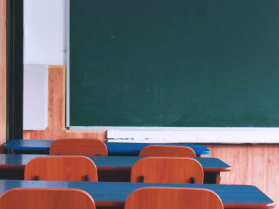 Actividad académica